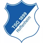 tsghoffenheim